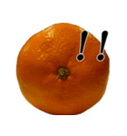 みかんですよ。（個別スタンプ：4）