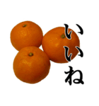 みかんですよ。（個別スタンプ：8）