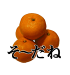 みかんですよ。（個別スタンプ：9）