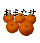 みかんですよ。（個別スタンプ：15）
