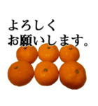 みかんですよ。（個別スタンプ：16）