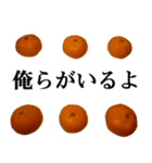 みかんですよ。（個別スタンプ：17）