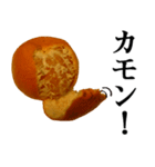 みかんですよ。（個別スタンプ：20）