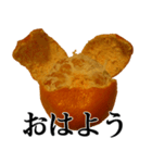 みかんですよ。（個別スタンプ：22）