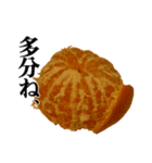 みかんですよ。（個別スタンプ：39）