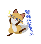 褒めるッス！おきちゅねキツネ（個別スタンプ：24）