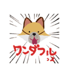 褒めるッス！おきちゅねキツネ（個別スタンプ：37）