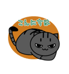 子猫のたいが（個別スタンプ：2）