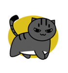 子猫のたいが（個別スタンプ：11）