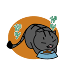 子猫のたいが（個別スタンプ：14）