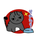 子猫のたいが（個別スタンプ：15）