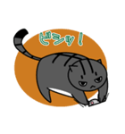 子猫のたいが（個別スタンプ：30）