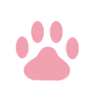 子猫のたいが（個別スタンプ：40）