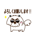 ゴンちゃん・ゆうちゃん・おたけさんの日常（個別スタンプ：7）