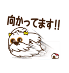 ゴンちゃん・ゆうちゃん・おたけさんの日常（個別スタンプ：9）