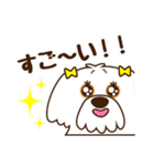 ゴンちゃん・ゆうちゃん・おたけさんの日常（個別スタンプ：21）