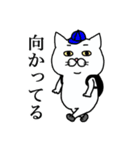 白ねこエブリディ 改（個別スタンプ：7）