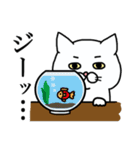 白ねこエブリディ 改（個別スタンプ：29）