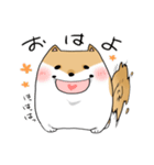 まんまるボディのいぬお（個別スタンプ：1）