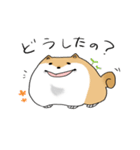 まんまるボディのいぬお（個別スタンプ：27）