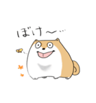 まんまるボディのいぬお（個別スタンプ：29）
