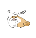 まんまるボディのいぬお（個別スタンプ：30）