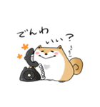 まんまるボディのいぬお（個別スタンプ：35）