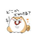 まんまるボディのいぬお（個別スタンプ：36）