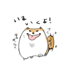 まんまるボディのいぬお（個別スタンプ：37）