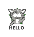 Mr Grey Little Cat（個別スタンプ：1）