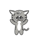 Mr Grey Little Cat（個別スタンプ：20）