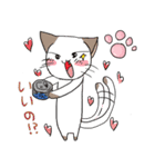 我が家のにゃんこ（個別スタンプ：1）