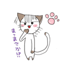 我が家のにゃんこ（個別スタンプ：7）