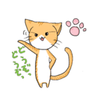 我が家のにゃんこ（個別スタンプ：22）