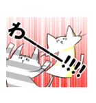 奇妙なネコスタンプ（個別スタンプ：19）