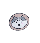 Little Husky（個別スタンプ：3）