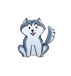 Little Husky（個別スタンプ：4）