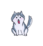 Little Husky（個別スタンプ：7）