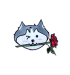 Little Husky（個別スタンプ：11）