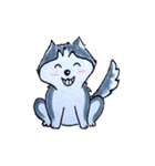 Little Husky（個別スタンプ：15）