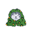 Little Husky（個別スタンプ：17）