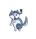 Little Husky（個別スタンプ：24）