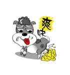Crazy Bibo（個別スタンプ：25）