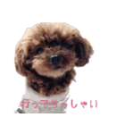 我が家の栗太郎（個別スタンプ：6）