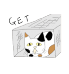 ネコババアとさくらねこ（個別スタンプ：10）