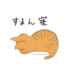 ネコババアとさくらねこ（個別スタンプ：31）