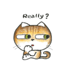 Bobbi Cat English version（個別スタンプ：6）