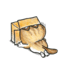 Bobbi Cat English version（個別スタンプ：9）