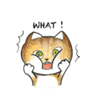 Bobbi Cat English version（個別スタンプ：15）