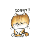 Bobbi Cat English version（個別スタンプ：20）